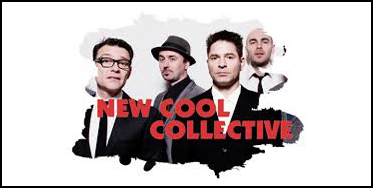 nen3140.net new cool collective